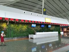 -张家界荷花国际机场