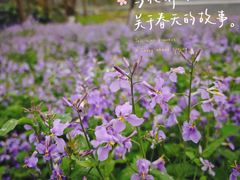 -茅家埠