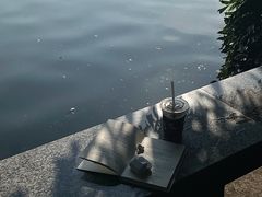 -荔湾湖公园