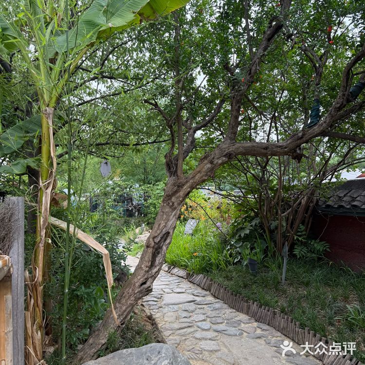 有烟火地方的“家宴”每道菜都是“原生态”的美味