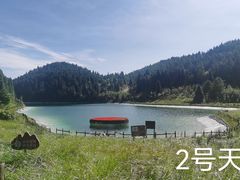 -武陵山森林公园