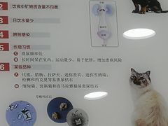 -心语宠物医院·急重症转诊中心·瑞辰华诺(南青路店)