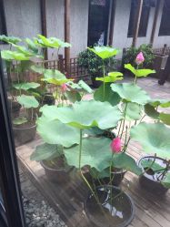 -爱儿美儿童摄影(朝阳公园店)