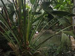 -麦积山温泉
