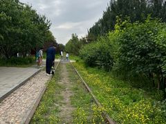 -永定河休闲森林公园