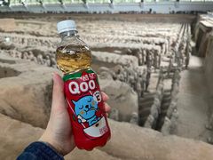 -秦始皇帝陵博物院(兵马俑)