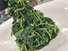 苦菜-九十九顶毡房(阜石路店)