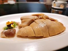 高汤冷水麻油鸡-炳胜品味(海印总店)