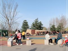 -东郊湿地公园