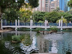 -九龙公园