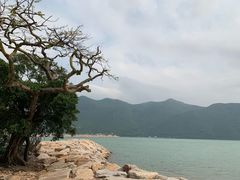 -大澳渔村及棚屋