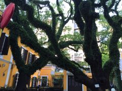 -ALBERGUE 1601 婆仔屋葡国餐厅