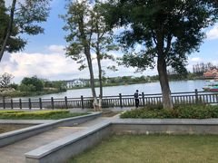 -上海长兴岛郊野公园