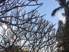 -晓港公园