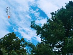 -罗布林卡