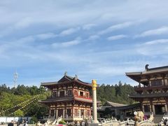 -庐山风景名胜区-东林大佛