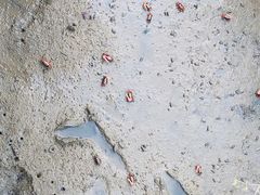 -北海金海湾红树林生态旅游区