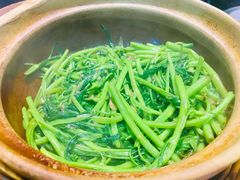 啫啫虾酱空心菜-熠盛粤味(永康路店)