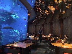 -迪拜帆船酒店海底餐厅