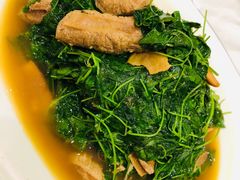 -东方国际水产中心