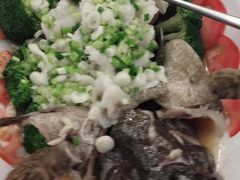 清蒸石斑鱼-馨越楼·点心·粤菜(赤坎店)