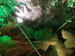 -青岛葡萄酒博物馆