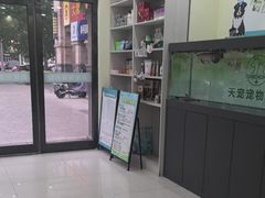 -天宠宠物医院24小时·急重症诊疗中心·全科·腔镜特色(和平分院)