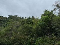 -野象谷景区