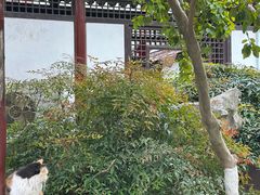 -常熟方塔园