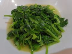 -悦海堂(金融街购物中心店)