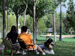 -爪吧宠物乐园 (温榆河示范区店)