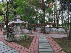 -陶缘一号·四季缘·老字号顺德菜·户外婚礼家宴(西滘店)