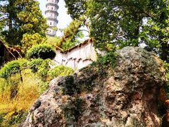 -巢湖姥山岛