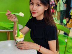 -Salud撒露欧洲冻酸奶(五道口购物中心店)