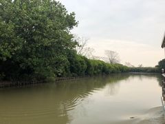 -大湾区中央湿地公园