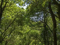 -宁波市保国寺古建筑博物馆