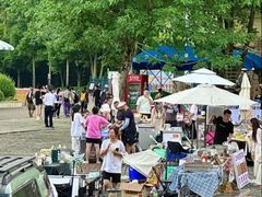 -重庆海昌加勒比海水世界