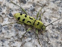 -天津盘山风景名胜区