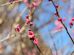 -黄陂区野村谷景区