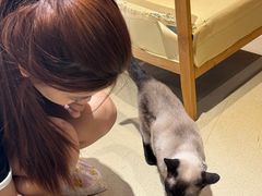 -藏猫猫咖啡主题馆(中央大道店)