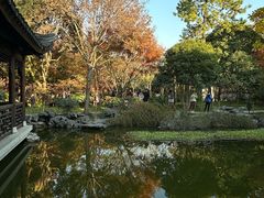 -秋霞圃