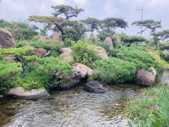 -罗红摄影艺术馆