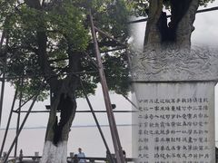 -观潮胜地公园
