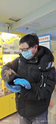 -神奇动物撸宠馆·羊驼·小浣熊·异宠(豫园店)