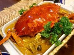 -茉莉.Red Crab