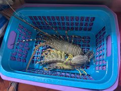-班赞海鲜市场