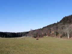 -武陵山森林公园