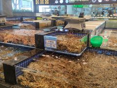 -东海怡品海鲜豆捞(舟宿夜江店)