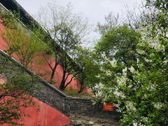 -妙峰山风景名胜区