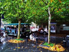 -天津五大道文化旅游区